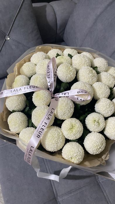 белый помпон хризантема