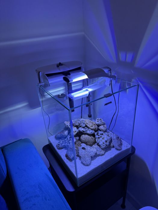 Acvariu Aquael Shrimp&Fish, impecabil, complet echipat!