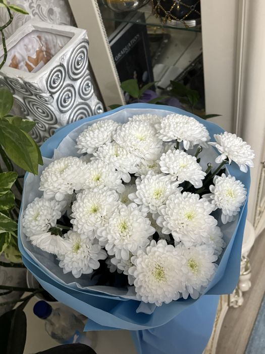 Хризантема свежие