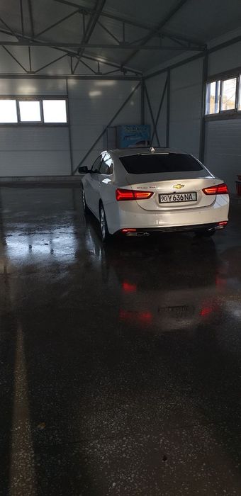 Molibu 2 Yili 2019 yurgani 49500