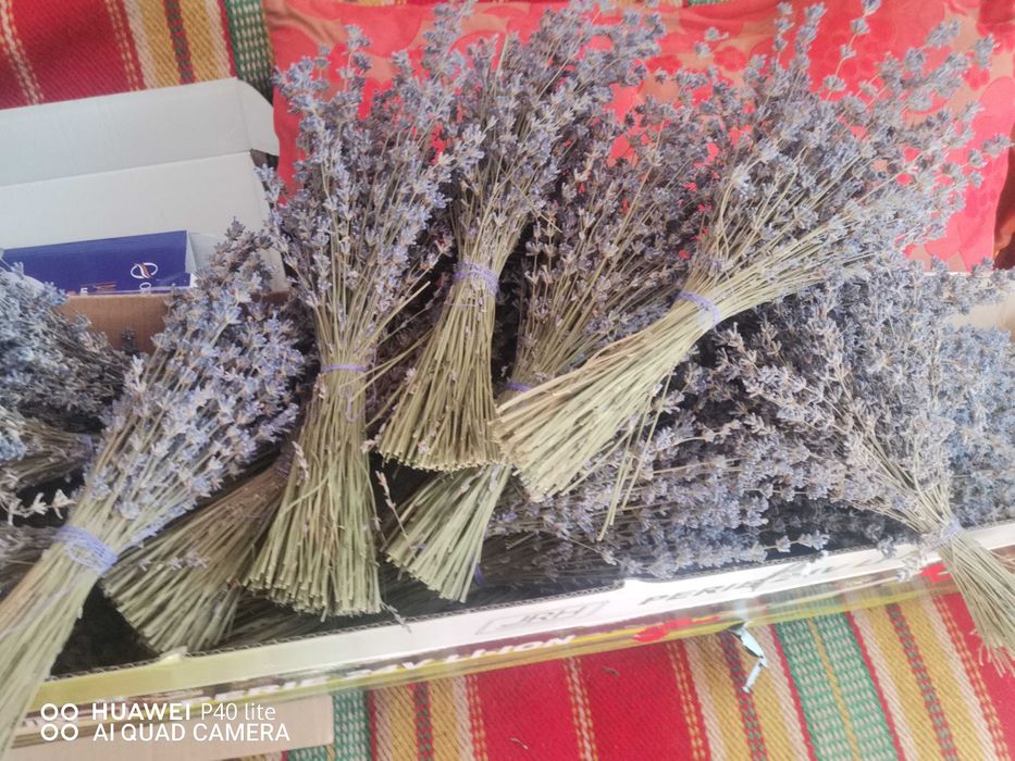 Lavandă bio buchete și săculeți