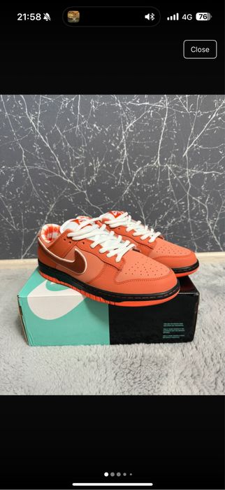 Nike dunk SB lobster orange