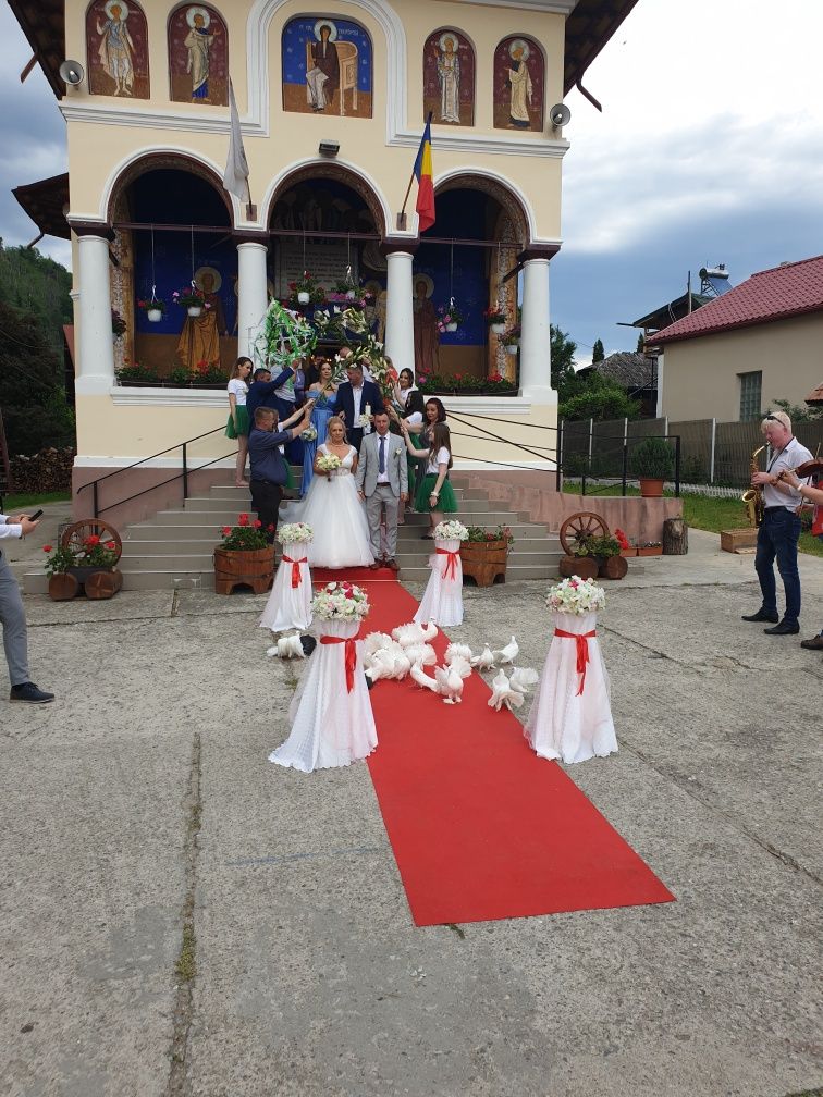 Porumbei albi ptr nunti în Sibiu si Valcea