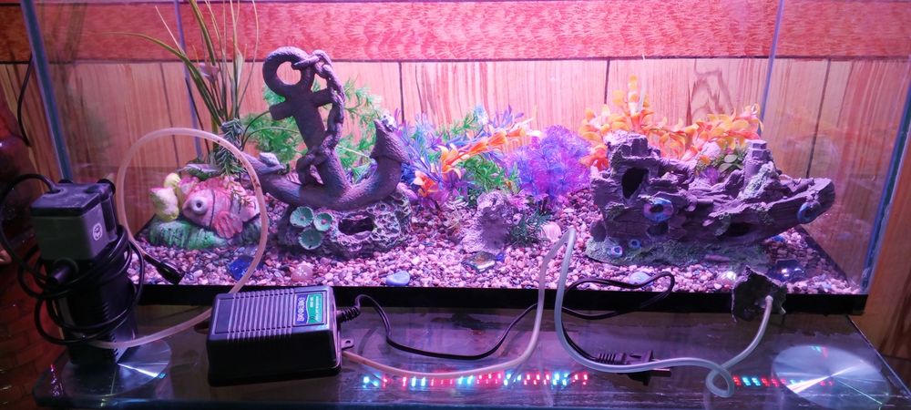 akvarium hamma narsasi bilan 100l