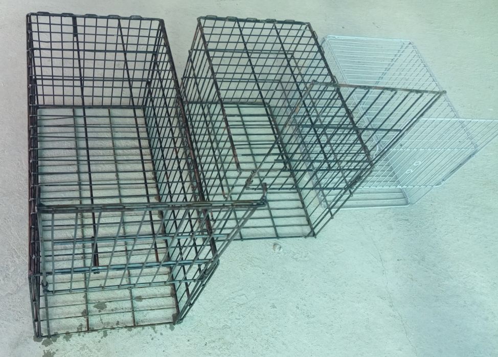 Qopqon tulki mishiq chiyaburi uchun