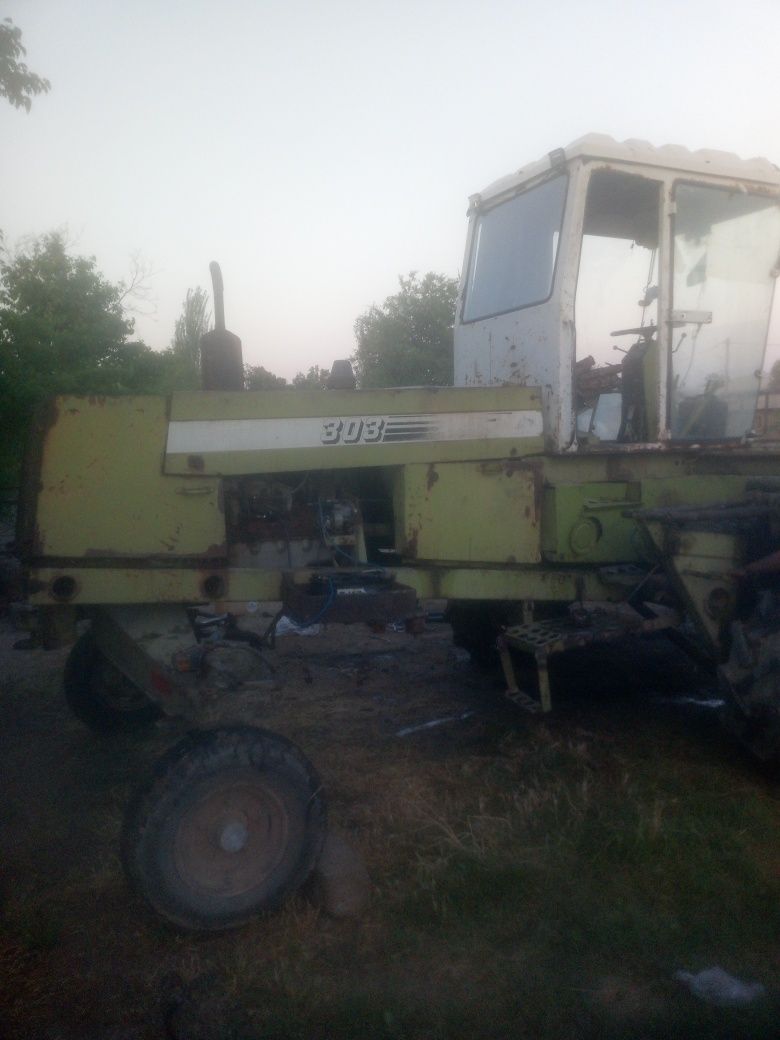 Maral303 beda urgich kambayn