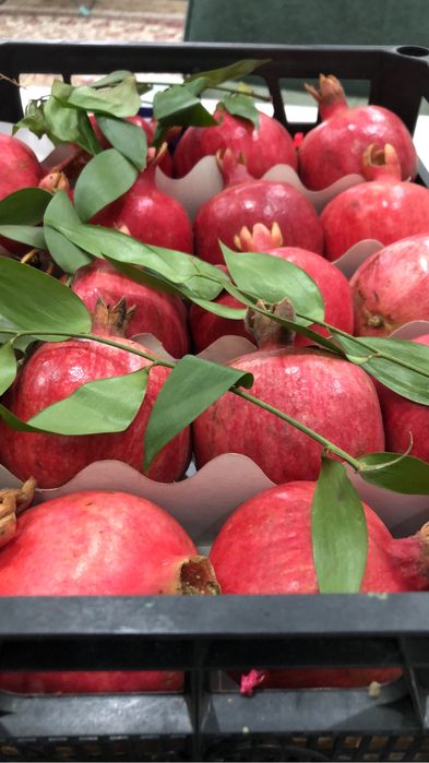 Анар-гранат,сладкие,сочные,мясистые,тонкокожие