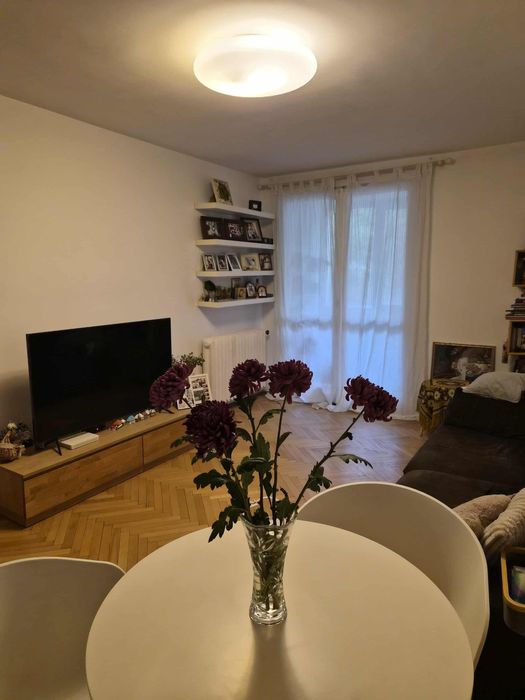 Apartament 3 camere, Dristor