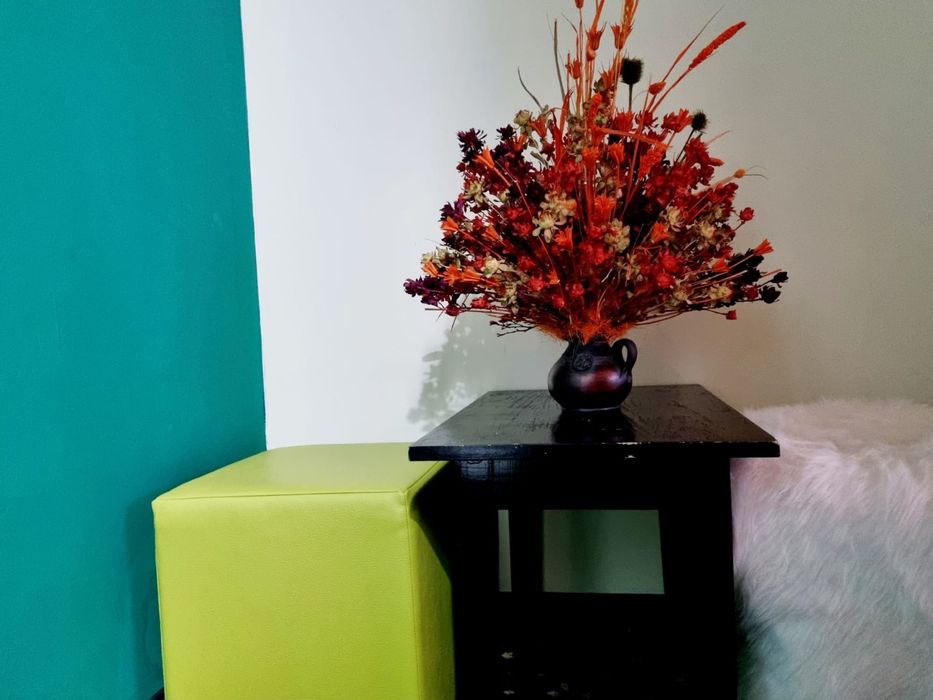 Cazare Predeal - Pensiunea Don Sergio