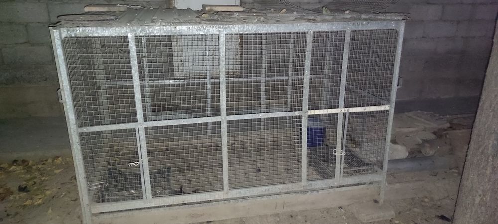 икта паррандалар учун уч