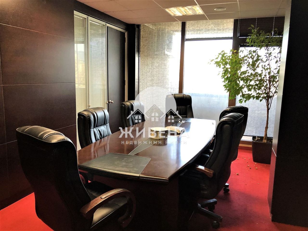 Дава се под наем Офис в Варна, Спортна зала - 306 кв.м за 3060 € - Снимка #11