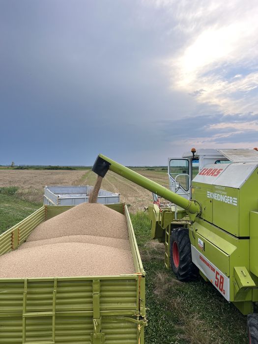 Vand remorca auto 5 tone