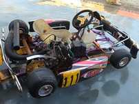 Картинг Ротакс  Rotax