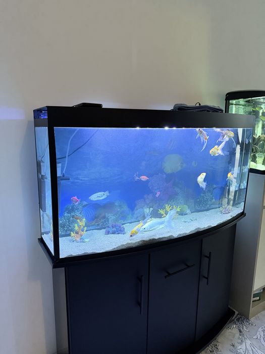 Akvarium 200litr