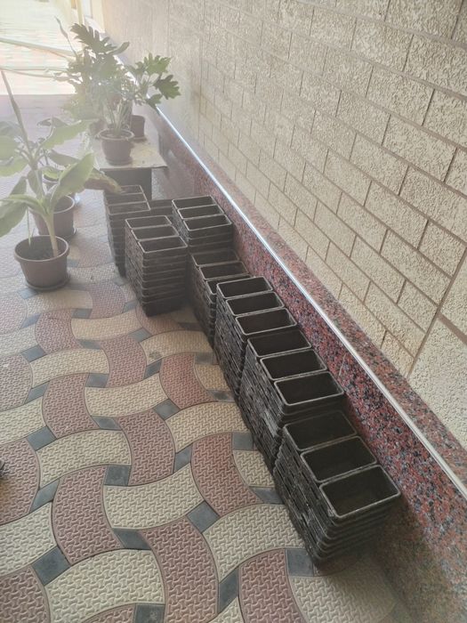 Мишалка колиплари билан