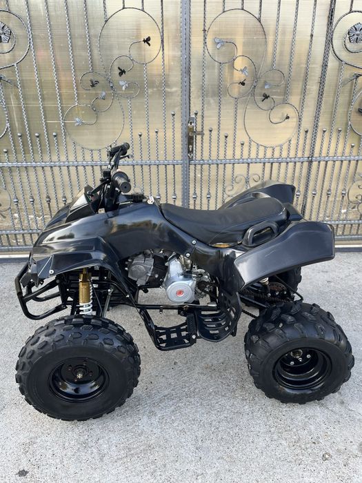 Atv 125 Renegade Pro Germany