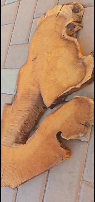 Lemn dud din rădacină