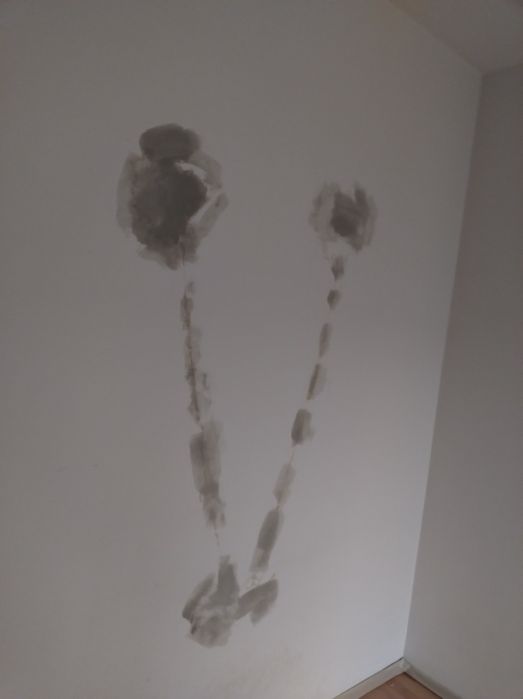 Handy man- la toate reparatiile interioare-painter