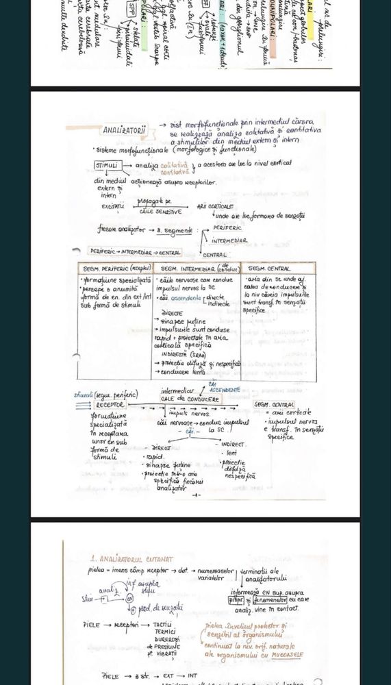 Notite carte caiet manual medicina UMF admitere bac biologie