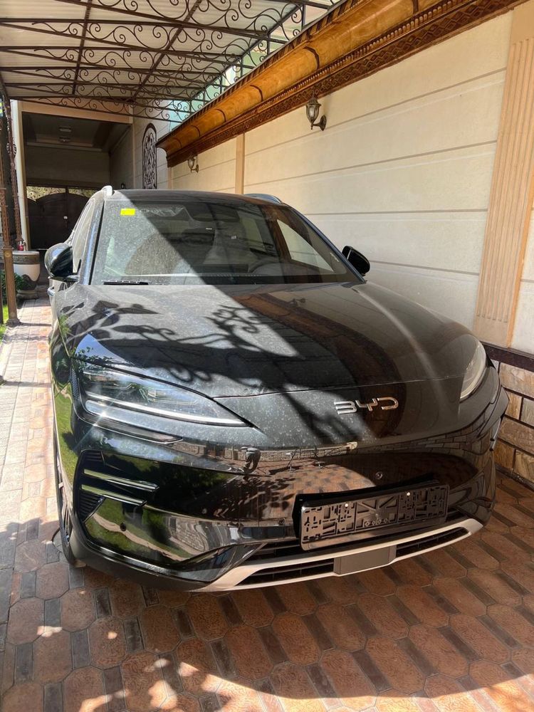 Byd chempion 2025/26 eng full (notarius)