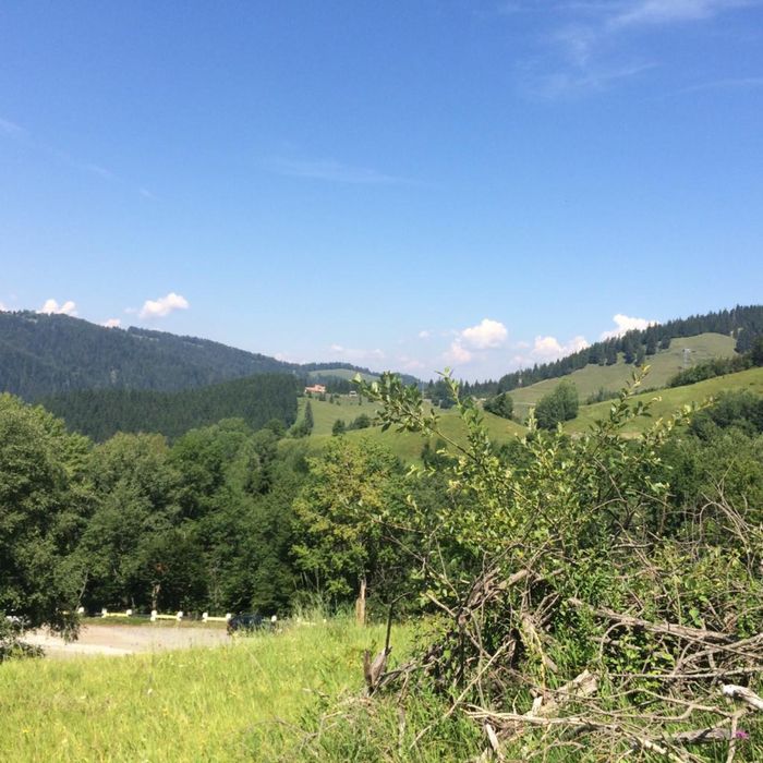 Vand teren, zona baraj Bicaz, Potoci