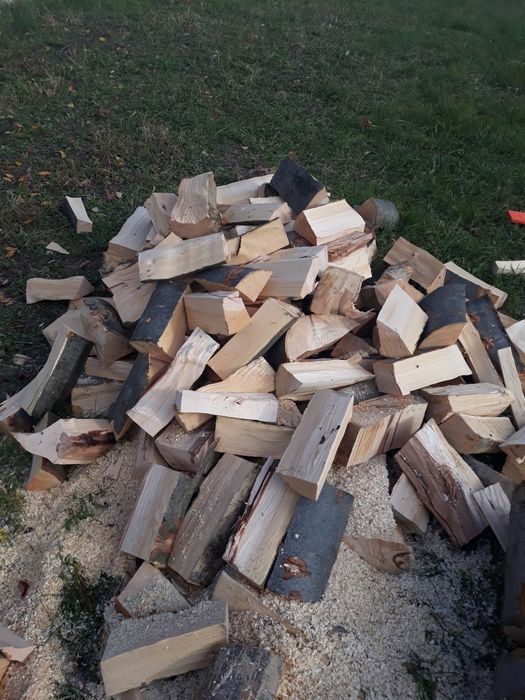 Vand lemne de foc buștean fag
