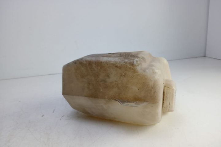 Vas lichid parbriz   strop gel 8200104706 Renault Scenic a 2-a genera