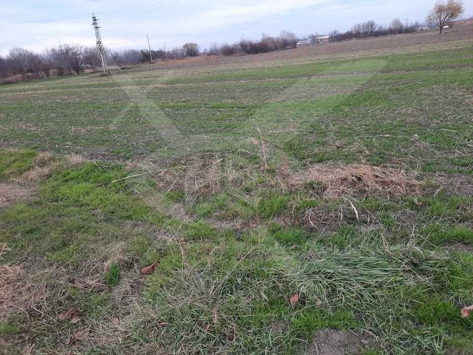 Парцел в Ягодово 41735