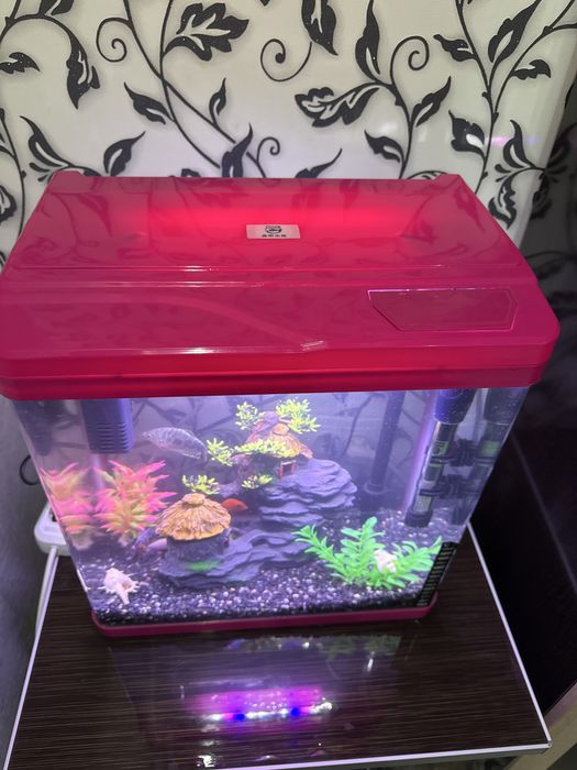 Аквариум для рыб