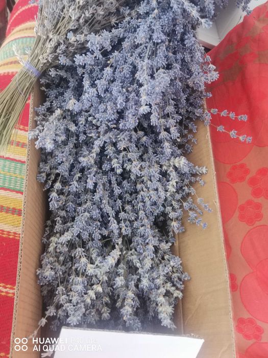 Lavandă bio buchete și săculeți