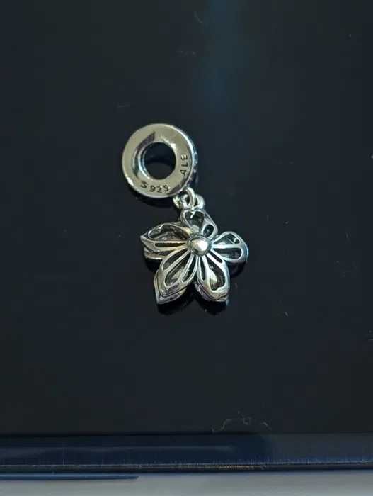 Талисман Пандора|Pandora