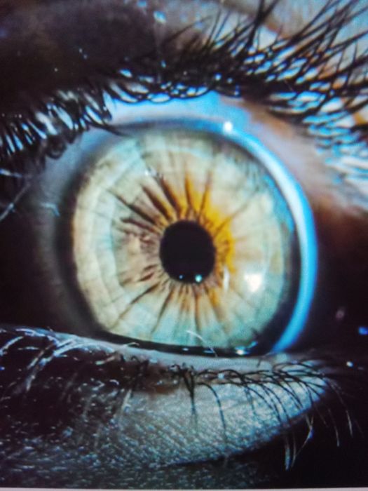 Разгодать значение своего сна.