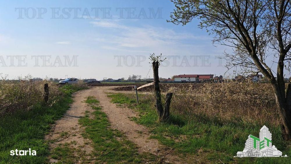 Teren 1171mp la intrare in Palanca langa Raul Sabar