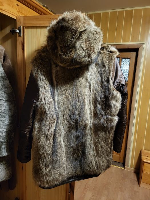 Haina barbateasca blana de raton