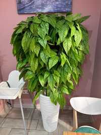 Продам декоративное дерево (искусственное растение )