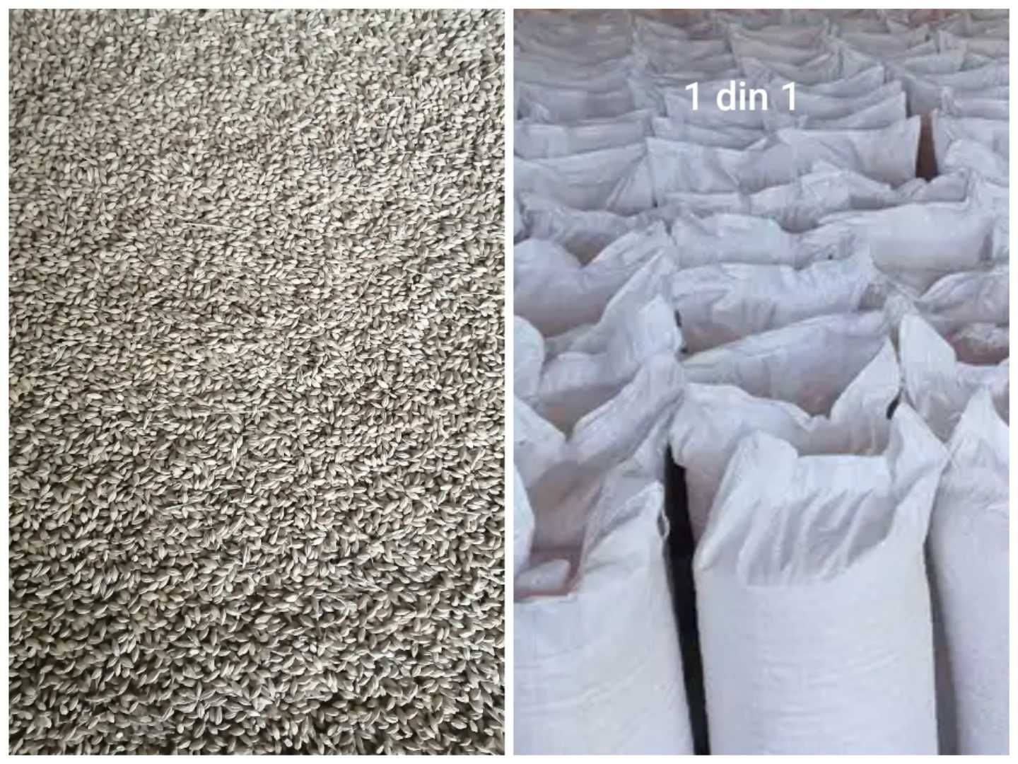 Vând cereale producție 2024