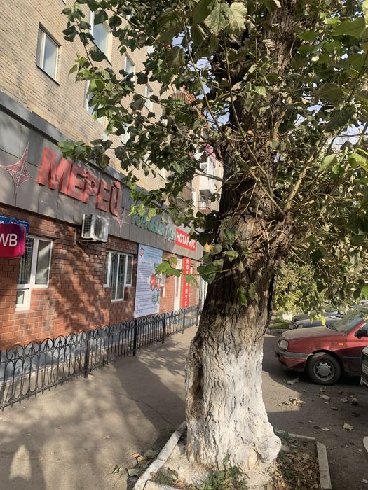 Сдав в аренду помещение