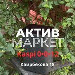 Яндекс Станция 2 | Актив Маркет