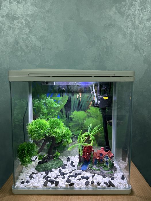 Заводские аквариумы ‼️‼️