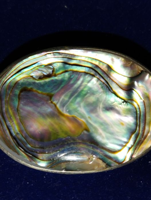 Broșă  Abalone, eleganta