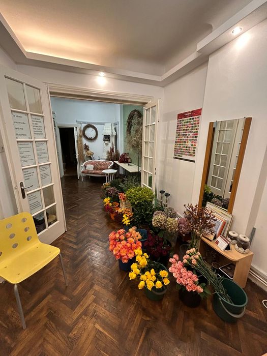 Închiriez parter vila Mosilor - Eminescu