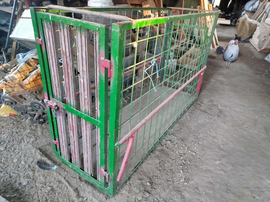 Cutie cântărit  animale vii