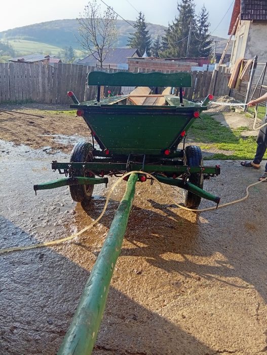 Cai cu căruța de vânzare