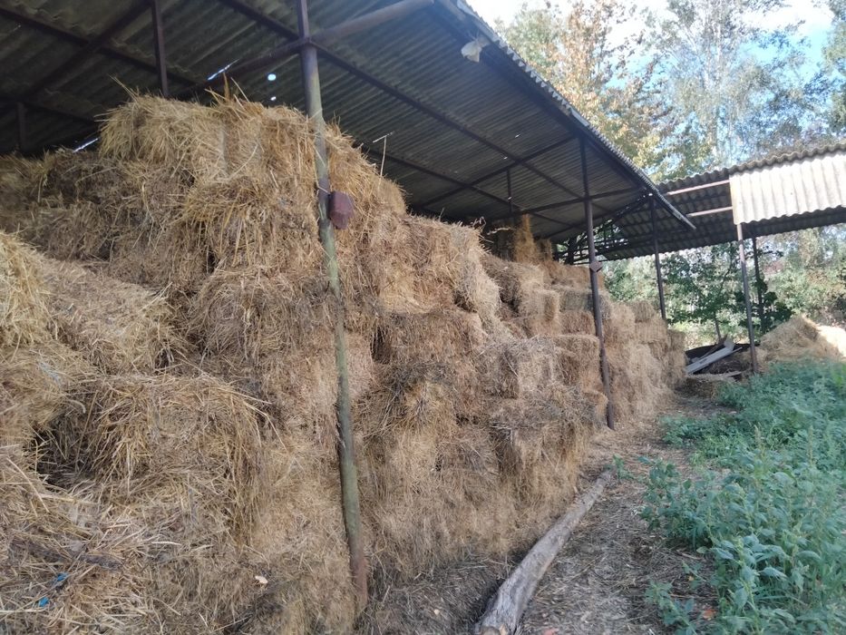 Vând baloți paie,lucernă,fan,amestec
