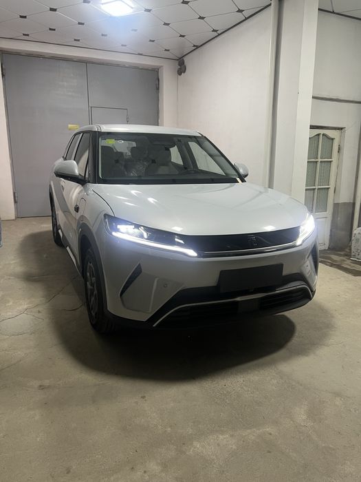 Byd yuan up 2-pozitsa smart 2025