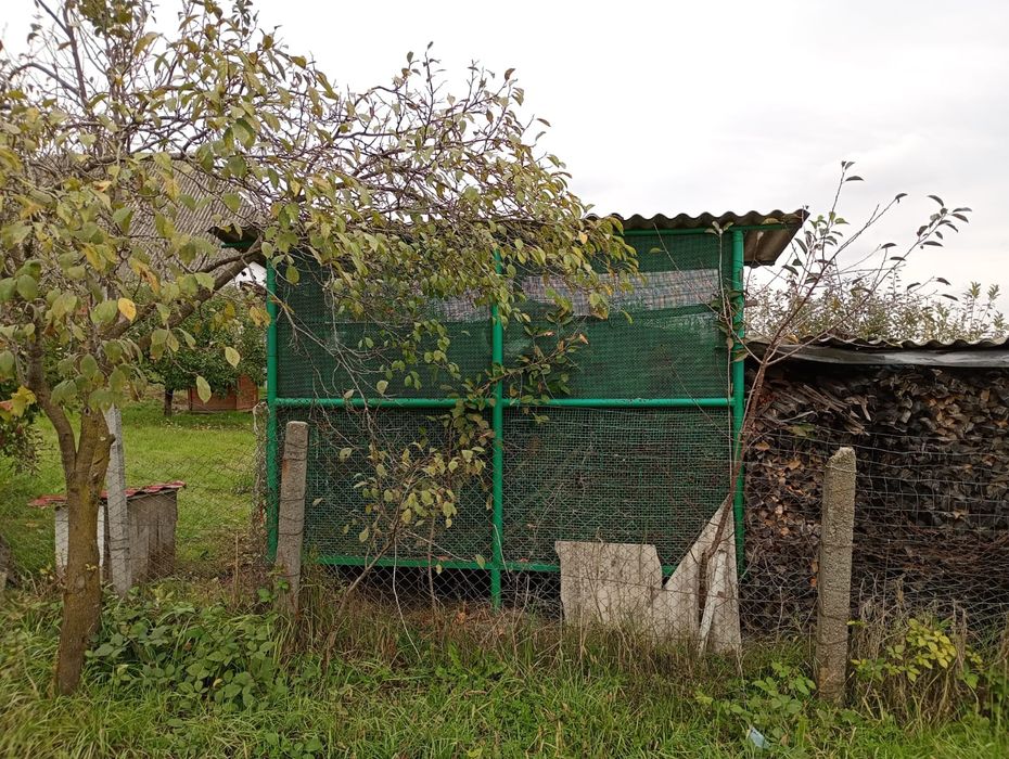Vând costei metalic pentru porumb