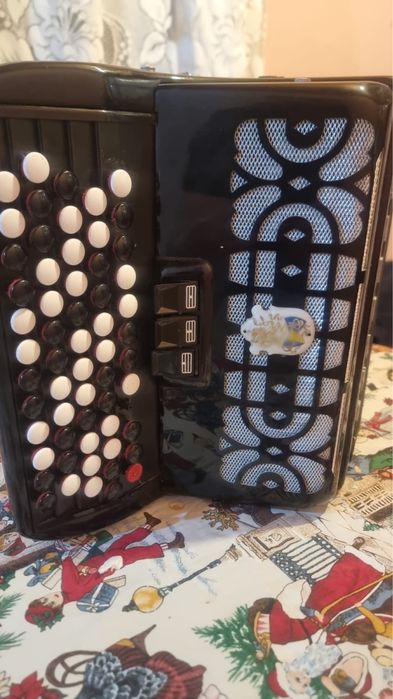 armonica am 2 aduse din danemarca