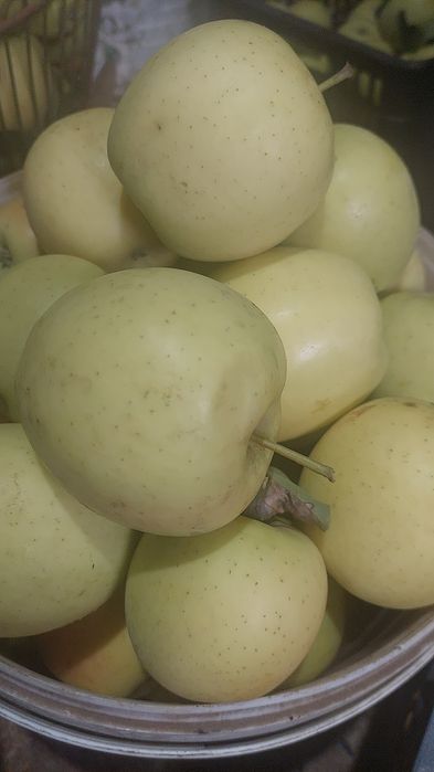 Яблоко 1 кг 500 тг