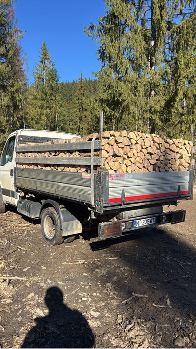 Lemn de foc fag taiat la dimensiunea dorita