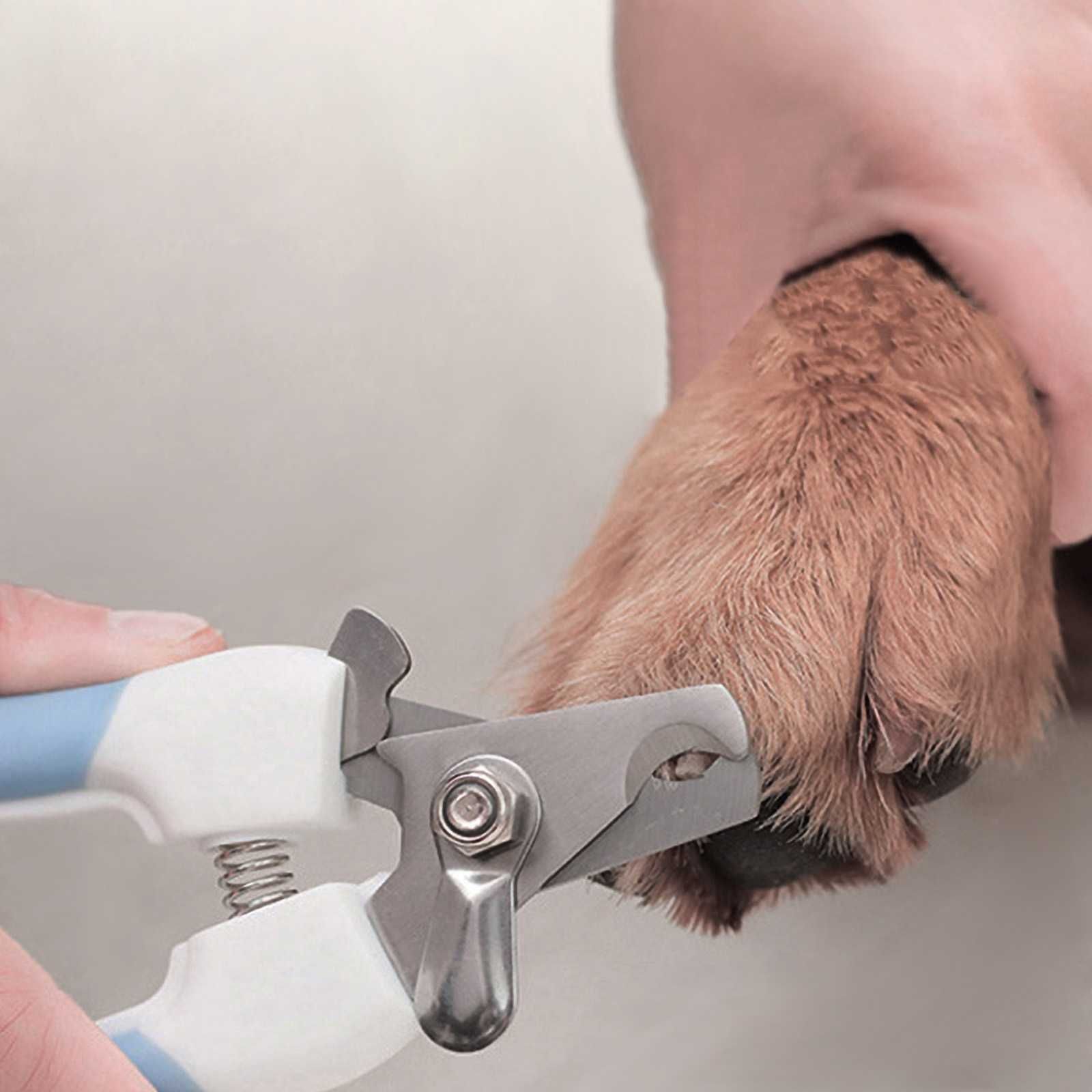 Комплект от ножичка клещи и пиличка за нокти на куче/котка